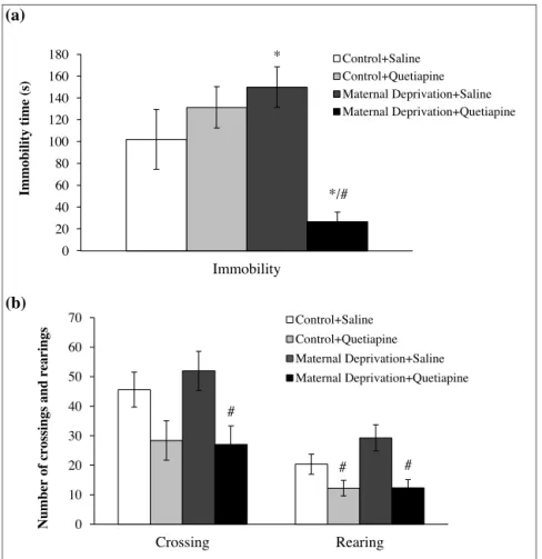 Fig. 2. MD and quetiapine (20 mg/kg, during 14 days) effects on the immobility time in the forced swimming test (2a) and locomotor activity (crossings and rearings numbers) in the open field (2b)