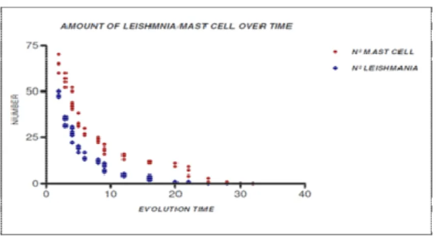 Figure 5: Amount of Leishmania/Mast cell over time 