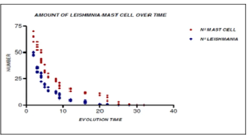 Figure 5: Amount of Leishmania/Mast cell over time 