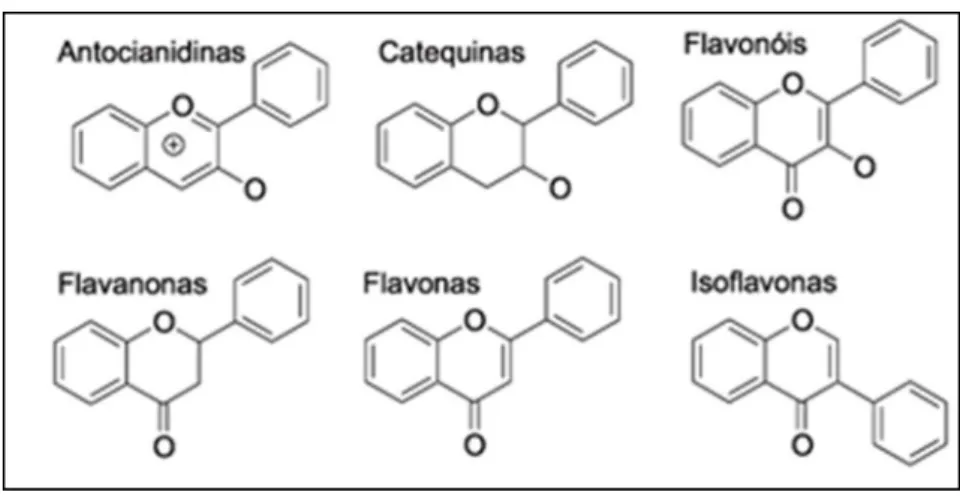Figura 4 - Estrutura química das principais classes de flavonóides. 