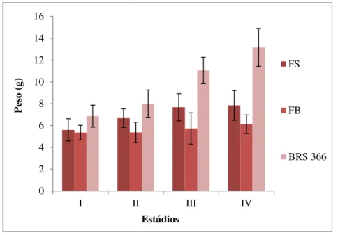 Figura  7  -  Peso  dos  frutos  dos  clones  de  aceroleiras  em  diferentes  estádios  de  desenvolvimento, oriundos do jardim clonal da EMBRAPA, Pacajus-CE, 2011