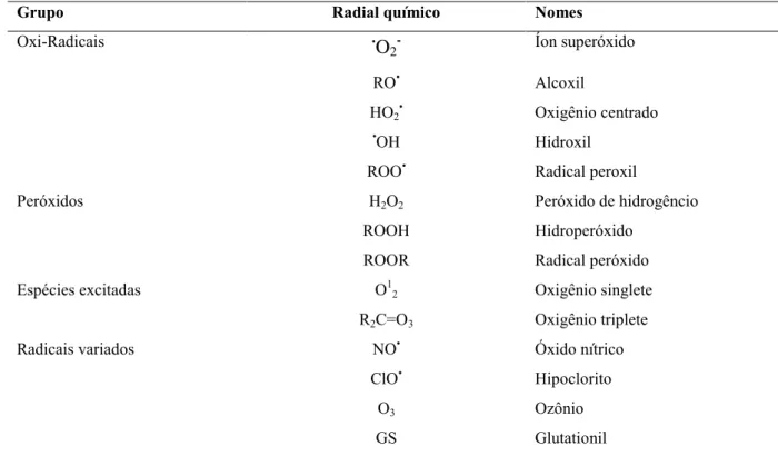 Tabela 2 - Espécies reativas de oxigênio.  