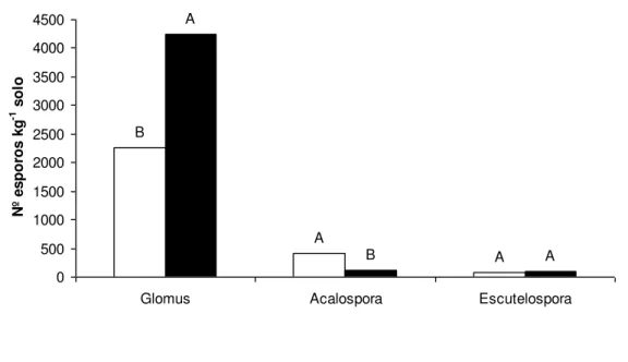 Figura 4. População dos fungos micorrízicos arbusculares (Nº de esporos kg -1  solo) dos  gêneros Glomus, Acalospora e Escutelospora na profundidade de 0-10 cm em Argissolo  Amarelo  Eutrófico  Típico  sob  pastagem  (P)  e  vegetação  natural  (VN),  Fort