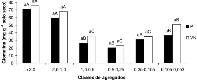 Figura 6. Teores (mg g -1  solo seco) de glomalina nas classes de diâmetro de agregados  estáveis  &gt;2,0,  2,0-1,0,  1,0-0,5,  0,5,0,25,  0,25-0,105,  0,105-0,053  mm,  separados  via  seca,  de  Argissolo  Amarelo  Eutrófico  Típico  sob  pastagem  (P) 