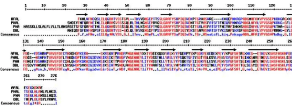 Fig. 7 Sequence alignment among AFAL and the sequences of the PHA leucoagglutinating isolectin (PHAL), P