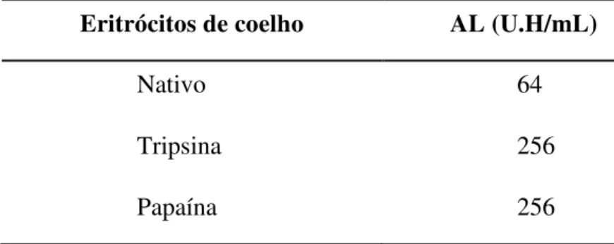 Tabela 3 – Atividade hemaglutinante da lectina presente na esponja marinha Aaptos sp.  