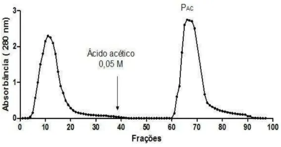 Figura 5 – Cromatografia de afinidade em matriz de quitina