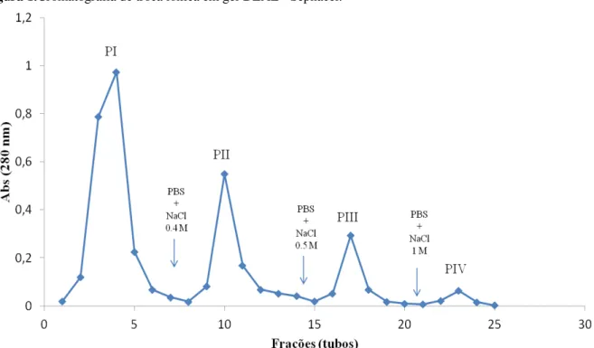 Figura 1.Cromatografia de troca iônica em gel DEAE - Sephacel. 