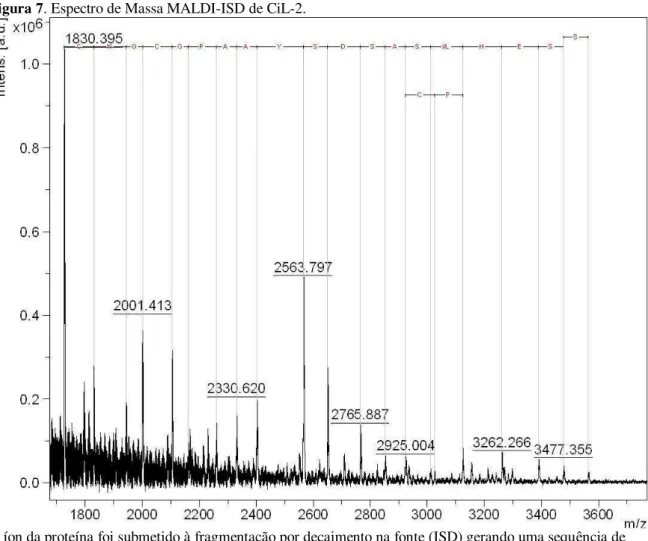 Figura 7. Espectro de Massa MALDI-ISD de CiL-2. 