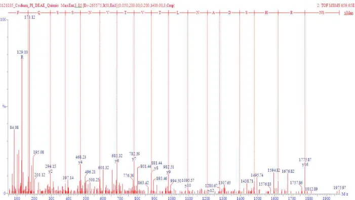 Figura 8. Espectro de fragmentação MS/MS  