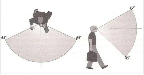 Figura 2 - Campo e percepção visual. 