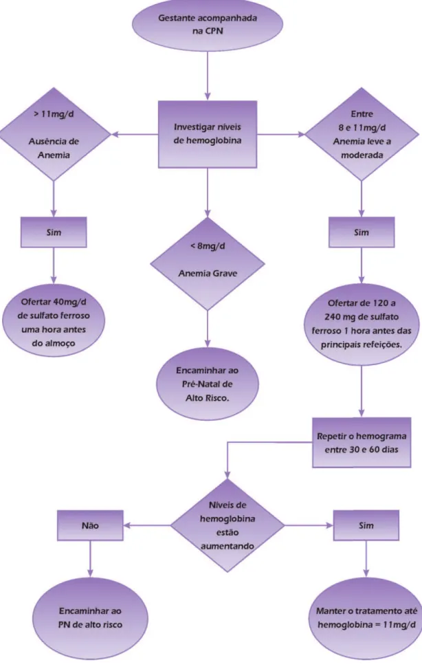 Figura 6: Fluxograma para suplementação com sulfato ferroso na gestação