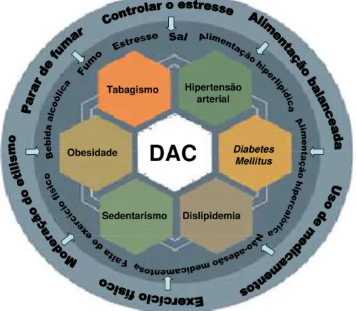 FIGURA  3  -  Diagrama  de  condutas  comportamentais  para  controle  dos  fatores  de  risco  modificáveis  e  controláveis da doença arterial coronariana (DAC)  