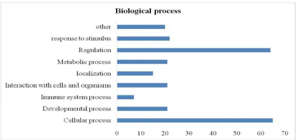 Gráfico 1 - Ontologia gênica dos processos biológicos 