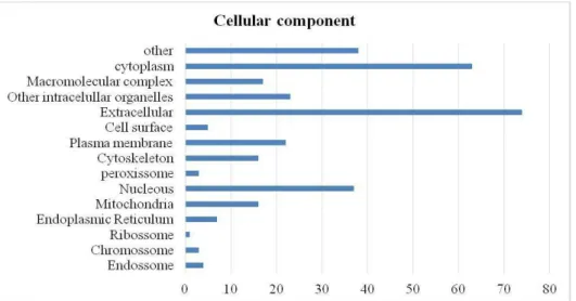 Gráfico 2 - Ontologia gênica componente celular 