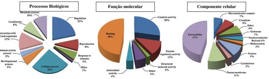 Figura 3. Anotações da ontologia gênica do proteoma do plasma seminal de touros Bos indicus em função do processo biológico (A), função molecular (B) e componente  celular (C)