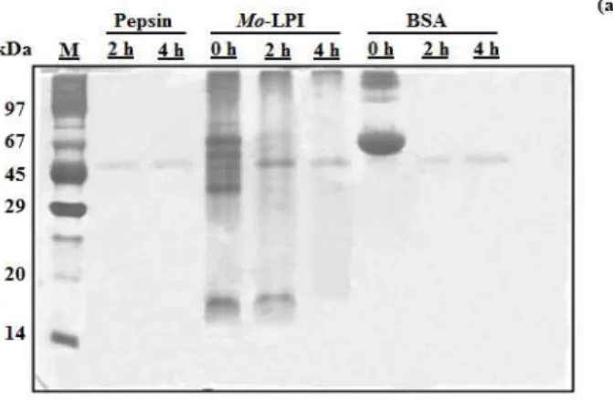 Figure 1.  Cont. 