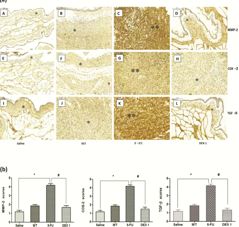 Fig 4. Immunohistochemistry (a) and scores (b) for matrix metalloproteinase-2 (MMP-2), cyclooxygenase-2 (COX-2), and transforming growth factor beta (TGF- β )