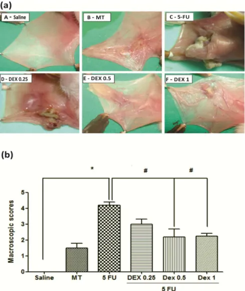 Fig 1. Dexamethasone (DEX) improved the macroscopic analysis (a) and scores (b) of the oral mucosa of hamsters with oral mucositis (OM) induced by 5-fluorouracil (5-FU) and MT