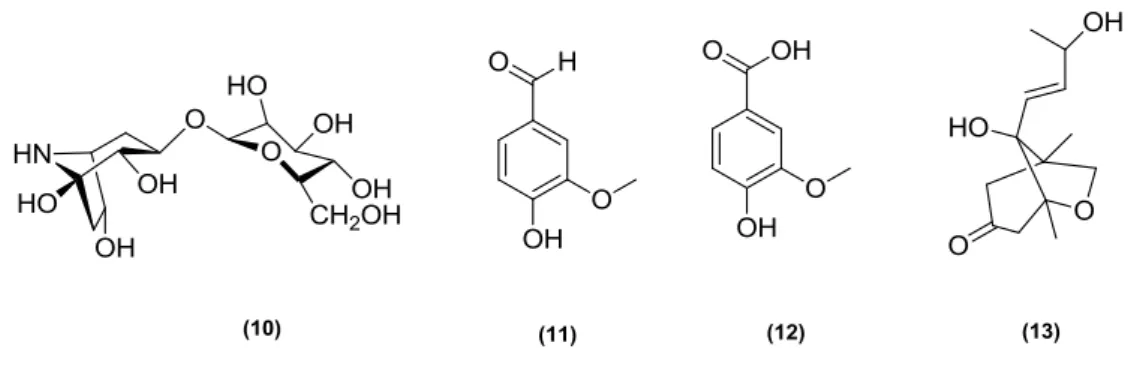 Figura 16- Exemplos de compostos minoritários isolados de N. physalodes  .