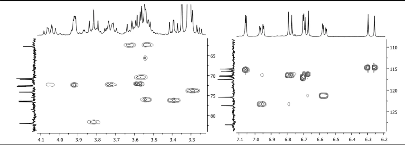Figura 15 - Expansões do espectro de RMN ¹H x ¹³C  –  HSQC (100 x 400 MHz, CD 3 OD) de LICM6-1 