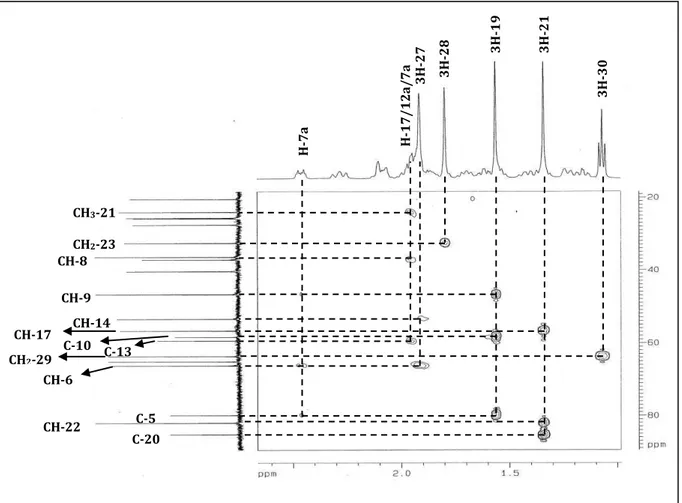 Figura 34 - Espectro de RMN HMBC  –  Expansão (500 e 125 MHz, C 5 D 5 N) de AA-3 