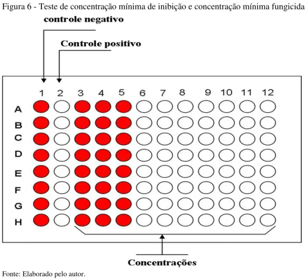 Figura 6 - Teste de concentração mínima de inibição e concentração mínima fungicida 