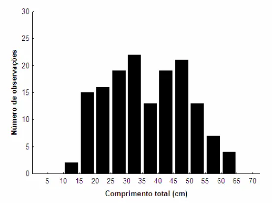 Figura  17:  Freqüências  de  comprimento  dos  exemplares  de  Centropomus  parallelus  utilizados  nas  estimativas  de  idade  através  dos  otólitos  sagitta  da  população do litoral do Paraná