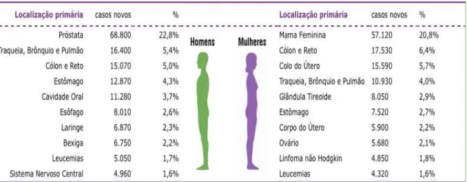 Figura 1  – Distribuição proporcional para homens e mulheres dos 10 tipos de câncer mais incidentes  no Brasil estimados para 2014 (http://www.inca.gov.br/estimativa/2014/tabelaestados.asp?UF=BR)