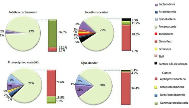 Figura  7  –   Diversidade  e  estrutura  das  comunidades  bacterianas  associadas  aos  zoantídeos  P