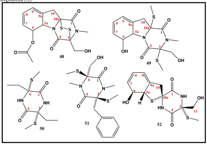 Figura 13. Estruturas da acetilgliotoxina (48); bis(detio)bis(metiltio)gliotoxin (49); bis-N-norgliovictin (50); gliovictin (51) e  espirogliotoxina (52)