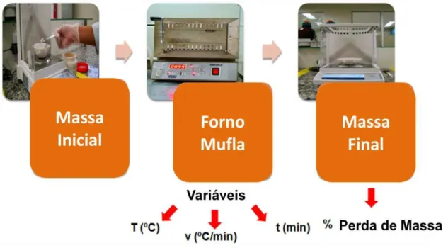 Figura 8   –  Esquema para metodologia de ensaios em Forno Mufla.