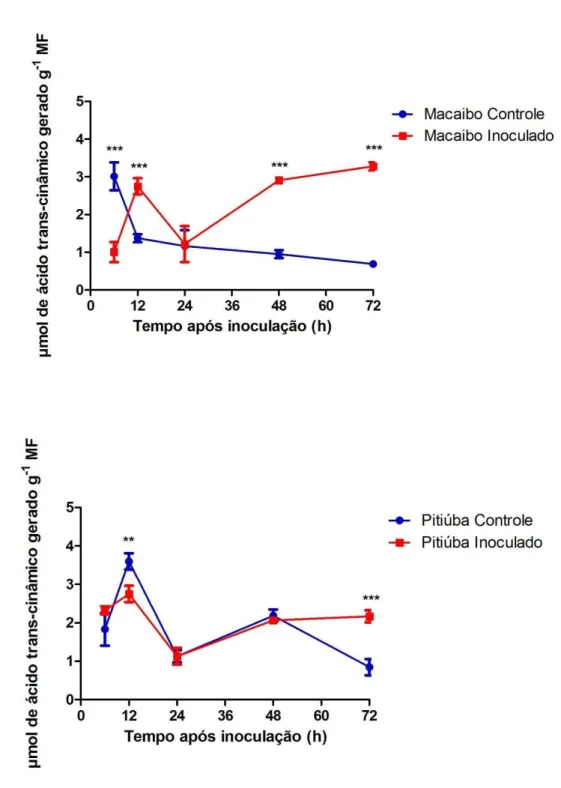 Figura  11.  Atividade  da  enzima  fenilamonia  liase  (PAL)  em  extrato  de  folhas  secundárias  de  feijão-de-corda ( Vigna unguiculata ), cv Macaíbo (A), Pitiúba (B), controle e inoculado com o vírus  do  mosaico  severo  do  caupi  (CPSMV)