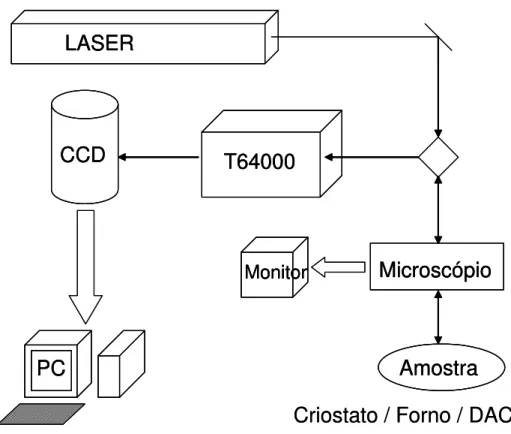 Figura 6 – Diagrama esquemático com a disposição dos equipamentos utilizados para espectroscopia  Raman