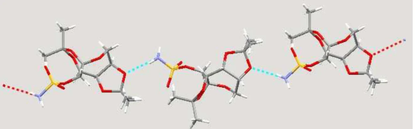 Figura 12 – Moléculas de topiramato dispostas como na célula unitária, com ligações de hidrogênio  mostradas pelas linhas tracejadas