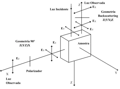 Figura 1.9: Representação esquemática para as direções e polarizações das radiações incidente e espalhada numa amostra [15].