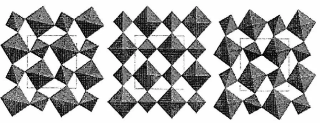 Figura 2.11: Estrutura tetragonal N bOP O 4 : octaedros N bO 6 e tetraedros P O 4 apresenta contração ao longo do eixo dos eixos &#34;a&#34; e &#34;b&#34;, e expansão ao longo do eixo &#34;c&#34;[48].