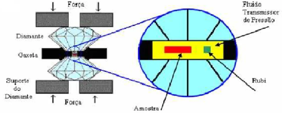 Figura 3.2: Representação esquemática do interior de uma célula de pressão a extremos de diamante e um corte lateral da gaxeta onde a amostra é localizada durante os experimento; sobre e sob a  ga-xeta encontram-se os diamantes e dentro do orifício é coloc