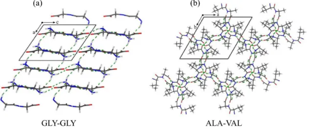 Figura 4: Representação esquemática das estruturas cristalinas dos dipeptídeos (a) L,L - -glicilglicina e (b) L,L -alanilalanina