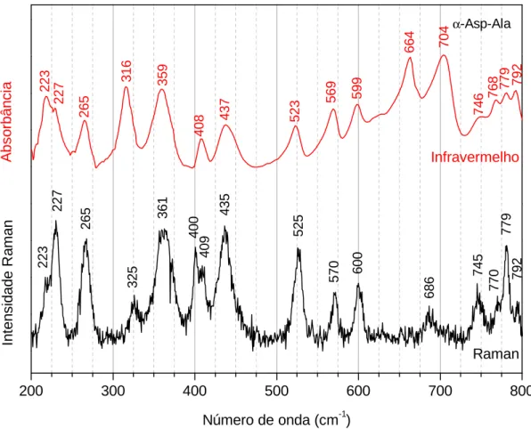 Figura 20 – Espectros Raman e de absorção de infravermelho do cristal de α-Asp-Ala  na região espectral de 200 a 800 cm -1 
