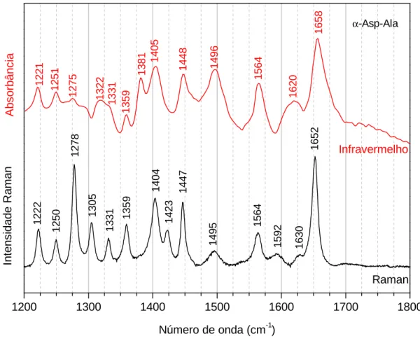 Figura 22 – Espectros Raman e de absorção de infravermelho do cristal de α-Asp-Ala  na região espectral de 1200 a 1800 cm -1 