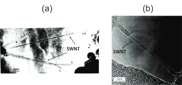 Figura 2: As figuras representam as primeiras evidˆencias de nanotubos de carbono de parede simples