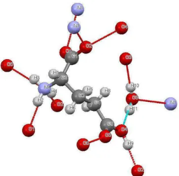Figura 26- Molécula de ácido glutâmico monohidratado com os átomos enumerados. 