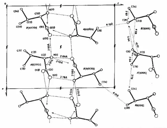 Figura 2.9: Projeção da estrutura cristalina ao longo do eixo b tendo como linhas tracejadas as                      ligações de hidrogênio [10] 