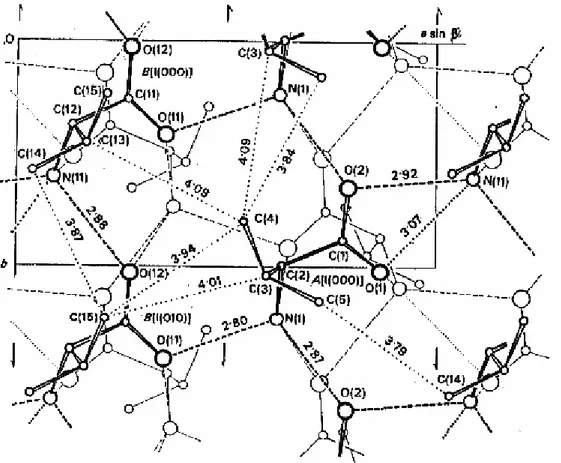 Figura 2.10: Projeção da estrutura cristalina ao longo do eixo c de uma única camada. As ligações                          de hidrogênio novamente são representadas por linhas tracejadas [10]