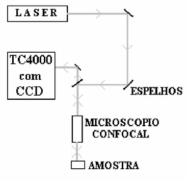 Figura 3.2: Representação esquemática do sistema de espalhamento Raman utilizado nesta Tese