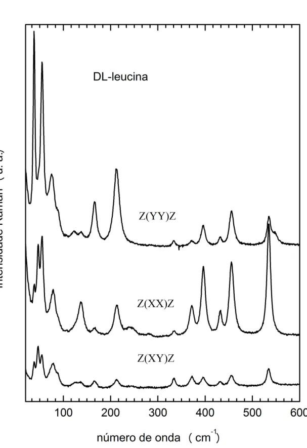 Figura 4.7: Espectros Raman polarizados do cristal de DL-leucina `a temperatura e press˜ao ambientes entre 30 e 600 cm −1 .