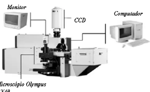Figura 2.6 Representação ilustrativa do sistema de micro análise Raman.  