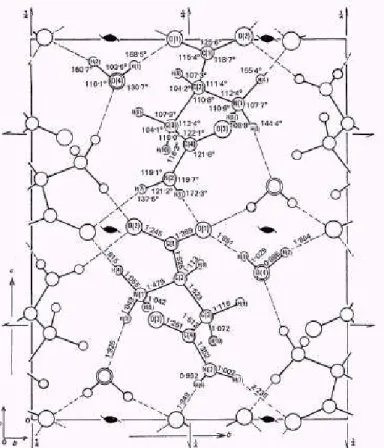 Figura 2.1: Projeção da célula unitárva do cristal de L-asparagina monohidratada sobre o plano 010  (Ramanadham et al,  1972)