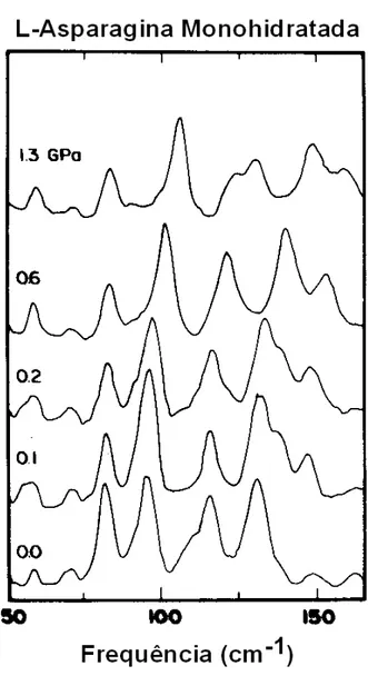 Figura 2.4: Raman spectra of LAM na região dos modos externos (Sasaki et al, 2000). 